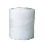 Pp Twine Pp Agricultural Twine Wholesale Greenhouse PP Baler Twine Tomato Twine For Agriculture Use