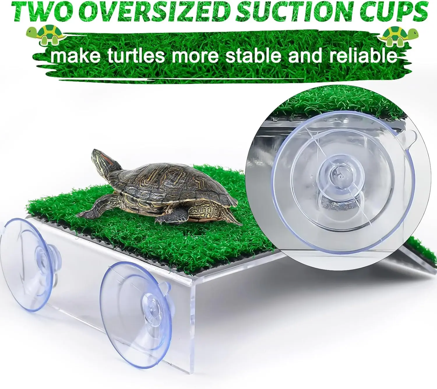 Turtle Resting Basking Platform Simulation Grass Turtle Ramp Lawn