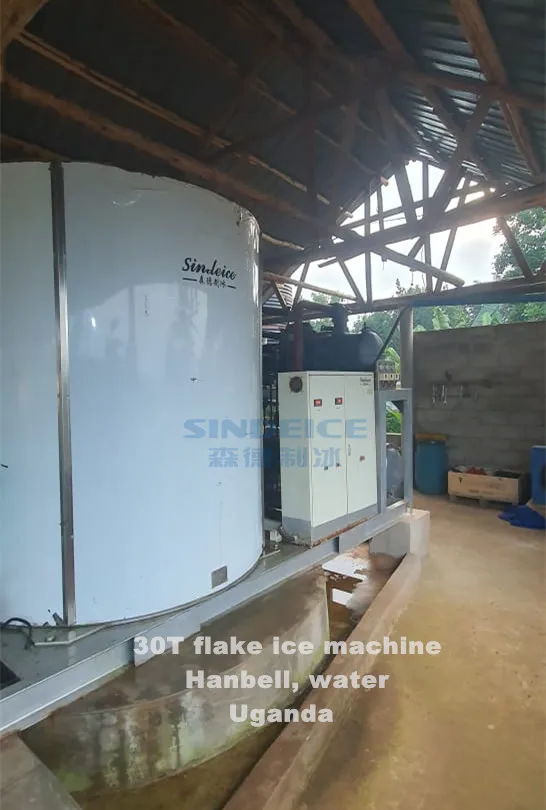 Ice Machine, PLC, 220 V, 101.55 - detail 22
