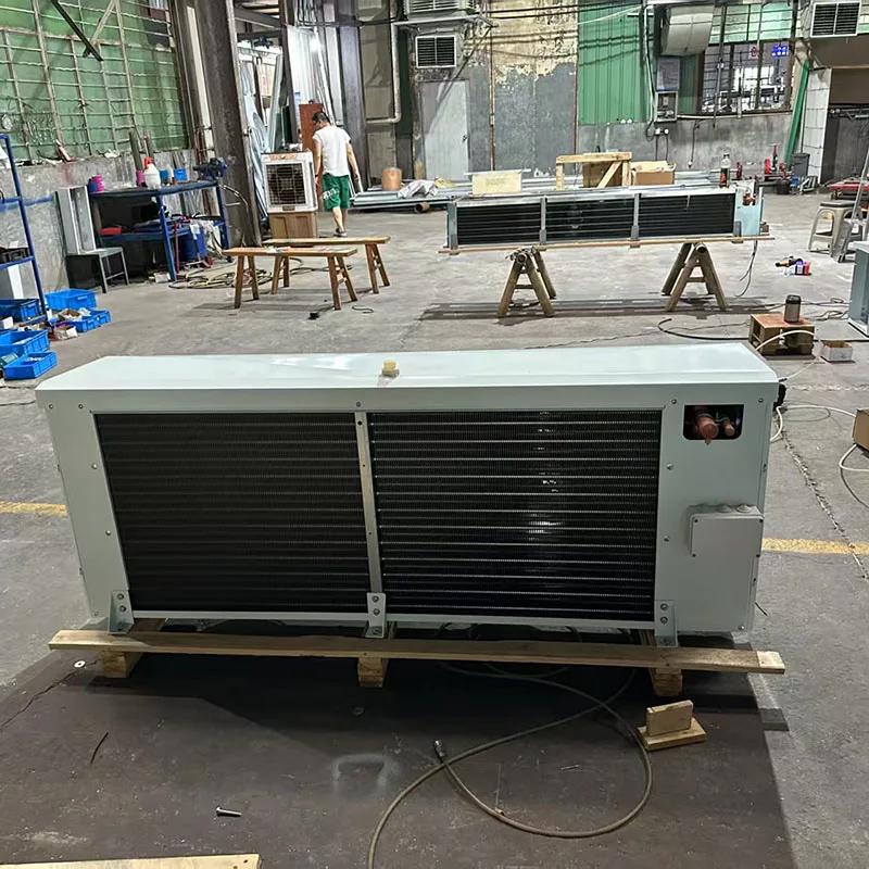 Yuexue Premium Commercial Evaporator, 380V, 2*550W - detail 14