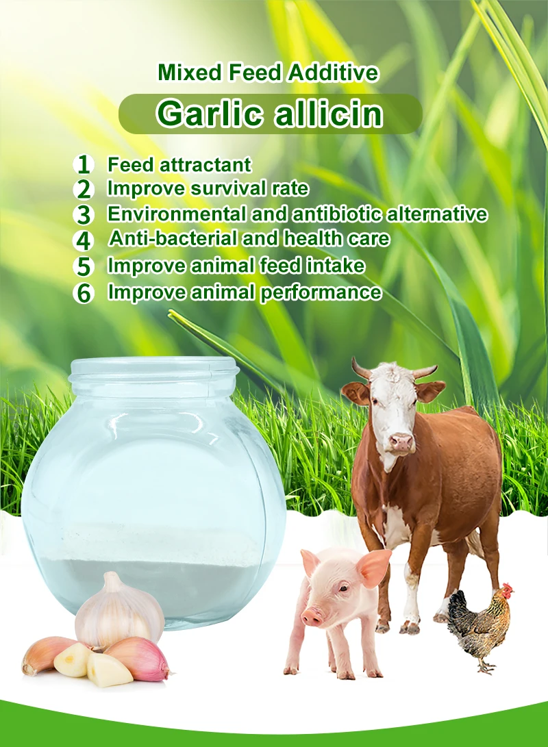 Garlic allicin