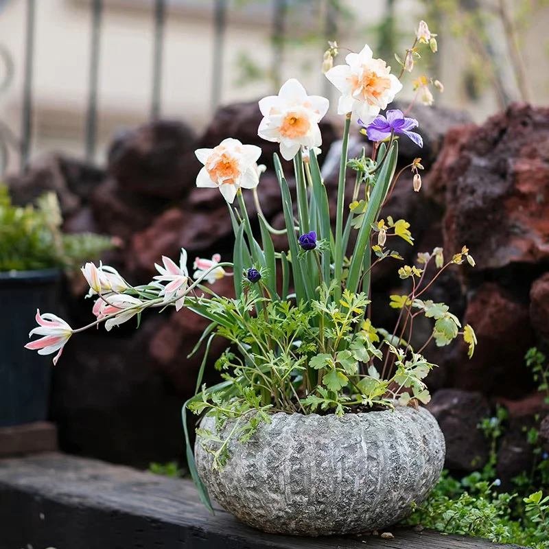Indoor outdoor decor embossed cement pots garden balcony concrete plant flower pots