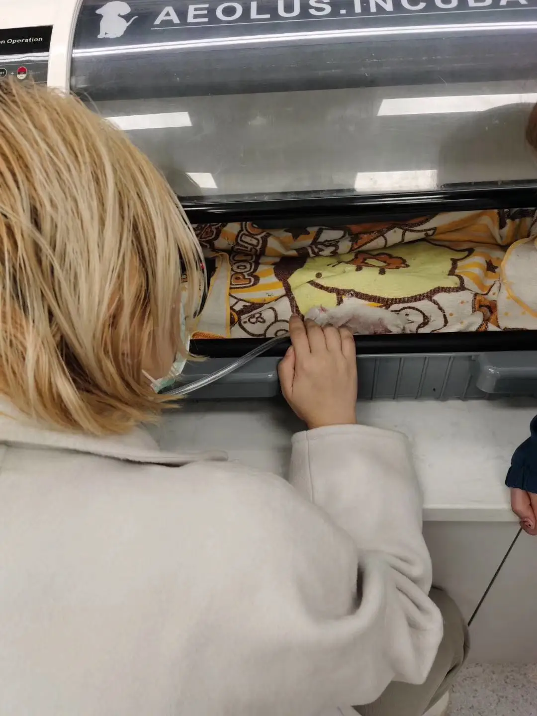 The Best Incubator For Puppies Good For All Puppies&kittens/safe,Smart