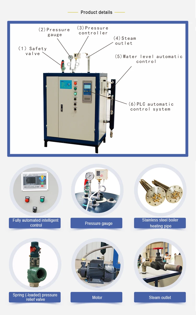 Steam Boiler, 220 V, Natural Circulation - detail 6