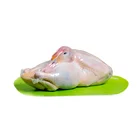 Reasonable Price Low MOQ Food Chicken Shrink Bags Poultry Packaging With Customized Printing
