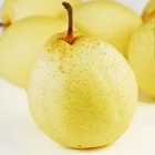 Pear China Wholesale Best Selling Fresh Ya Pear Asian Juicy Pear