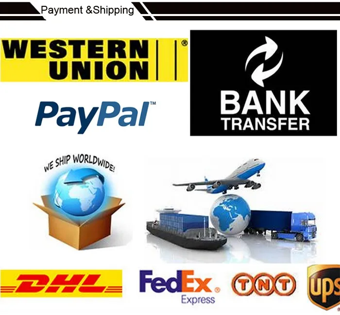 Shipping&-Payment