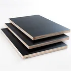 Poplar Wood Poplar Plywood 2*4 High Inspection Plywood Customized Construction Poplar Wood