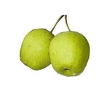 Yellow New Season Fresh Sweet Natural Organic Light Yellow Snow Pear