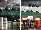Paper Pe Coated Paper By Make Paper Cup Fans Lids In China