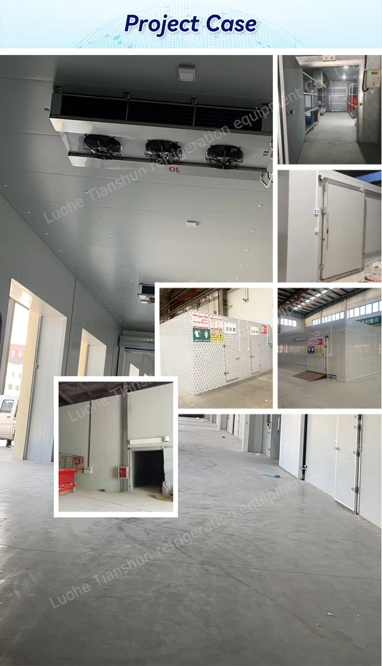 Modular Cold Room Freezer, 110V~480V - detail 14