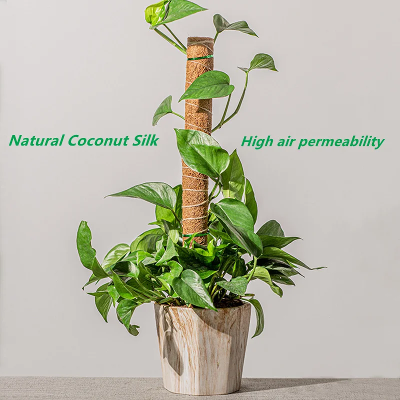 Growth Technology 160cm Coir Pole main image 1