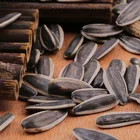 Sunflower Ready To Ship Free Paid Sample Good Quality Hot Sale 363 601 5009 Black Striped Sunflower Seeds