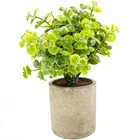 Wedding 2021 New Arrival Artificial Potted Grass Plants Mini Boxwood Plant In Pot For Wedding Decoration