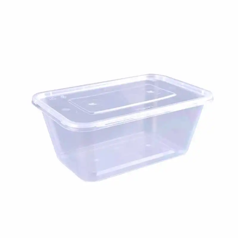 Rectangle Takeaway Disposable Plastic Food Container Pp Plastic Food