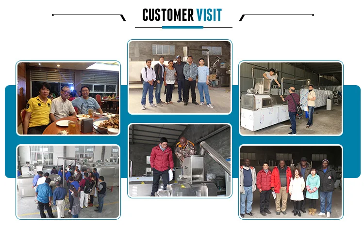 High quality dry dog cat pet food machine High quality dry dog cat pet food machine