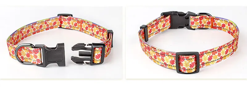 dog collar with the small followers