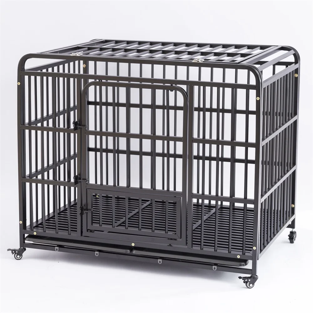 nutrish for small dogs