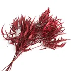 Wholesale Preserved Eucalyptus Stained Millet Fruit Leaves Everlasting For Home Party Festival Decoration