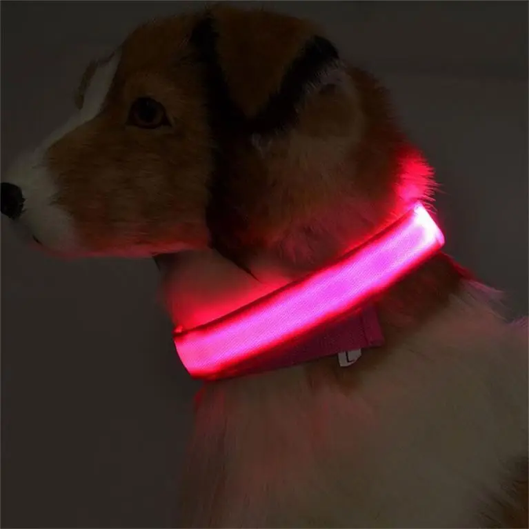 are led strip lights safe for dogs