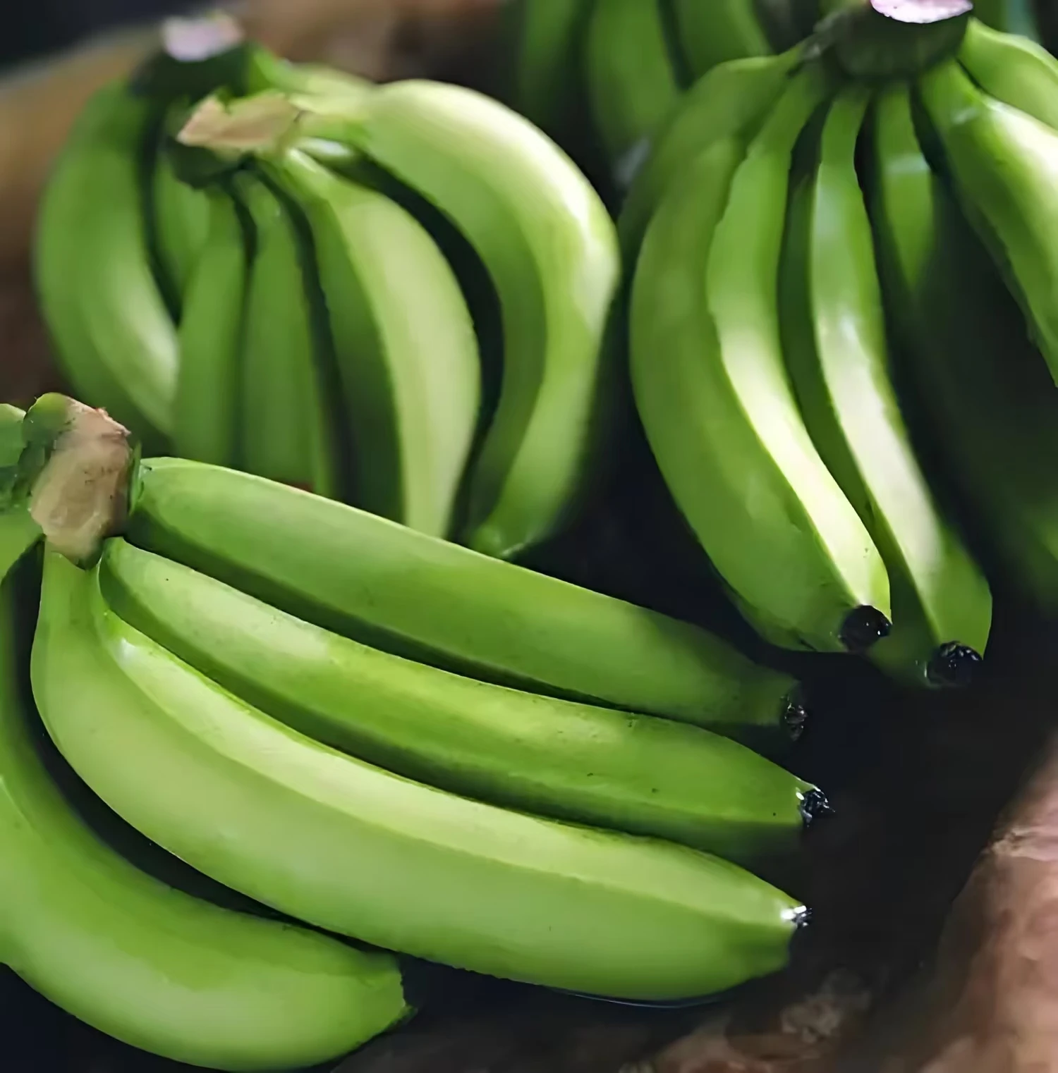 Premium Organic Cavendish Banana - Fresh Wholesale Export for Global Markets