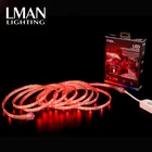 Rgb High CRI Colorful Christmas Decorative 30led 60led 110V 220V IP67 Waterproof 5050 Rgb Led Strip