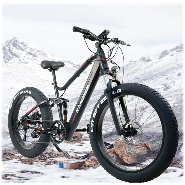 emtb fat bike