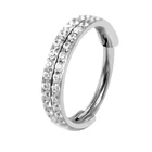 Piercing Eternal 16G ASTM F136 Titanium 2 Line CZ Stone Prong Set Nose Piercing Hinged Segment Ring