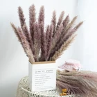 Flower Natural Dried Pampas Grass Long Lasting Preserved Flower Dried Reed Grass