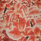 Silk Fabric Designer Satin Fabric Wholesale Digital Print Pure 100 Mulberry Floral Silk Satin Fabric