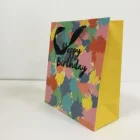 Gift Bag Wholesale Custom Printed Samll Birthday Gift Bag With Ribbon Handle