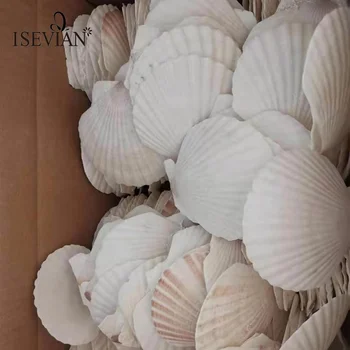 ISEVIAN Polished conch shell 5cm-14cm White natural Sea Shell