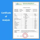 Sweetener Sucralose Sciencarin Wholesale Sweetener Sucralose