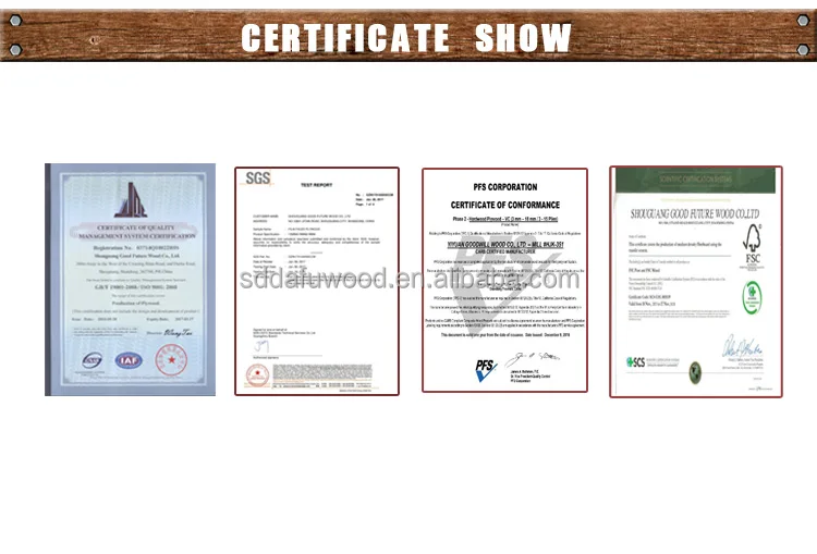 certificate show.jpg