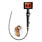 Equipment Fiber Optic Video Medical Equipment Electronic Endoscope Fiber Optic Video Bronchoscope