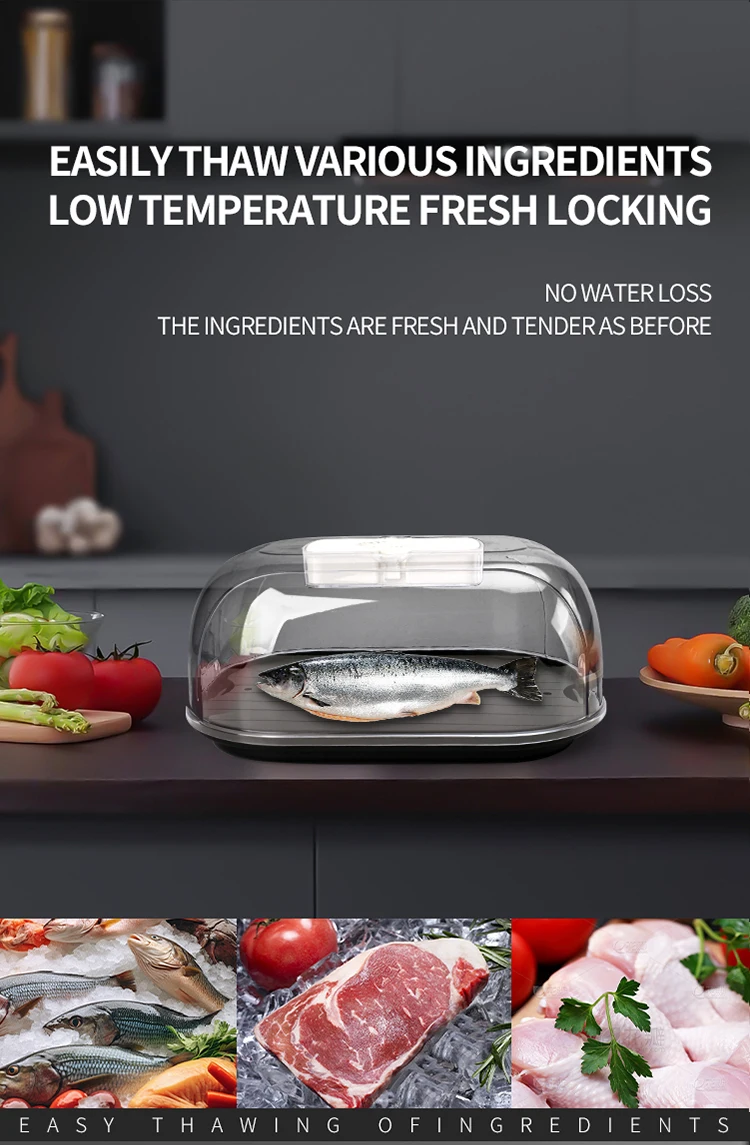 Thawing Equipment, LD2478-1 - detail 4