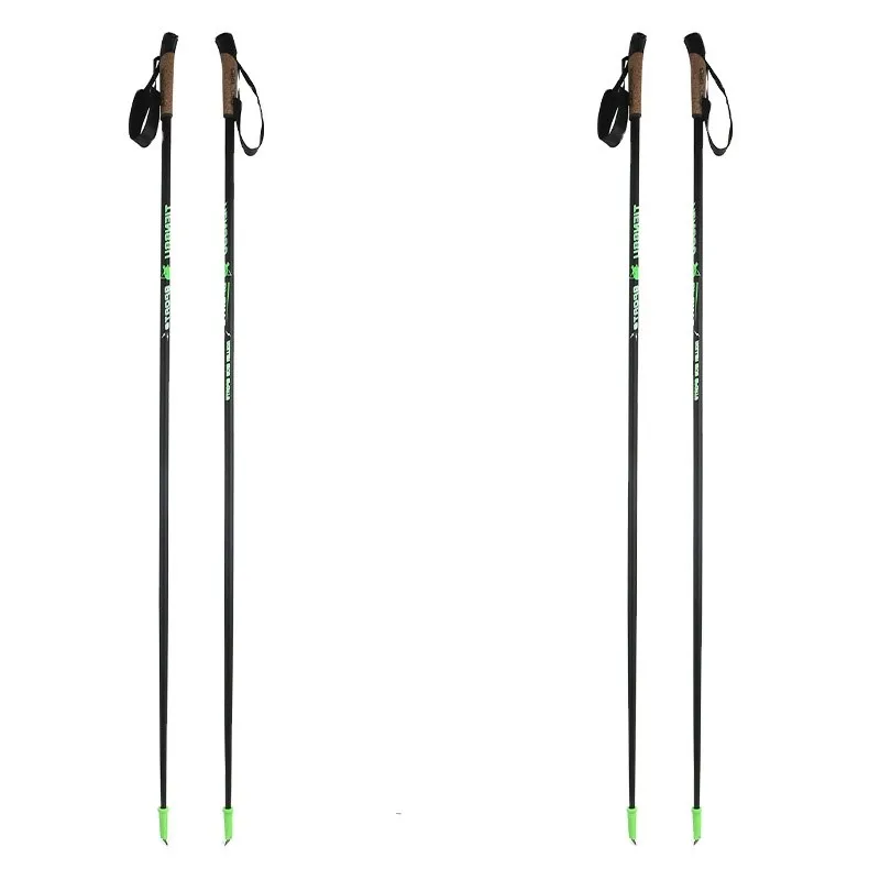 roller ski poles