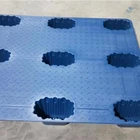 Economical Custom Design Plastic Pallet Supplier Cheap Plastic Pallets