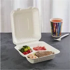 Food Packaging Box Cartonfood Bodegradable Sugarcane Container Food Takeaway Packaging Bagasse Pulp Paper Lunch Box