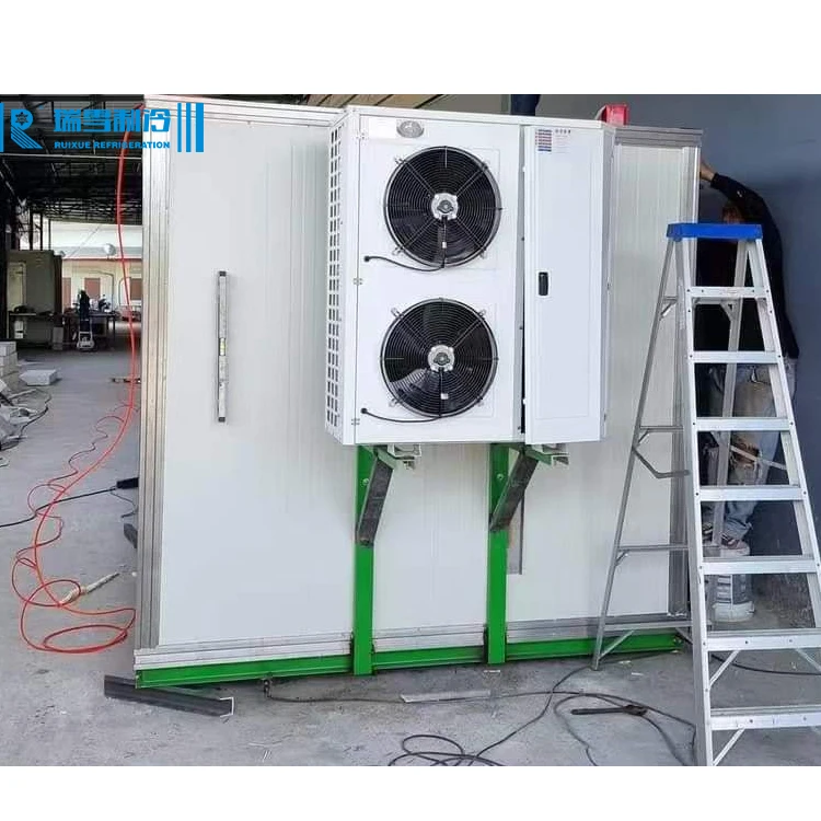 Condensing Unit, 220V, R404a - detail 18