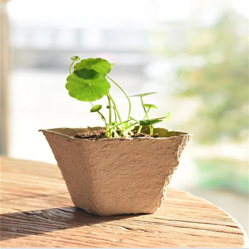 LT290 Custom Natural Garden Paper Pulp Seedling Cups Biodegradable Plant Nursery Seeding Tray Flower Pots