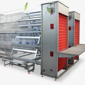 Poultry Automatic Farm Equipment Egg Collection System 4000 Eggs Fully Automated Egg Collector Machine