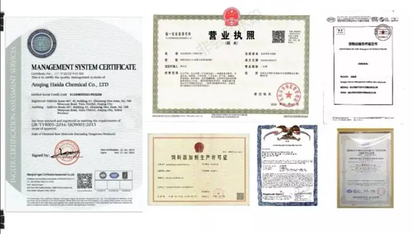 certificate1.jpg