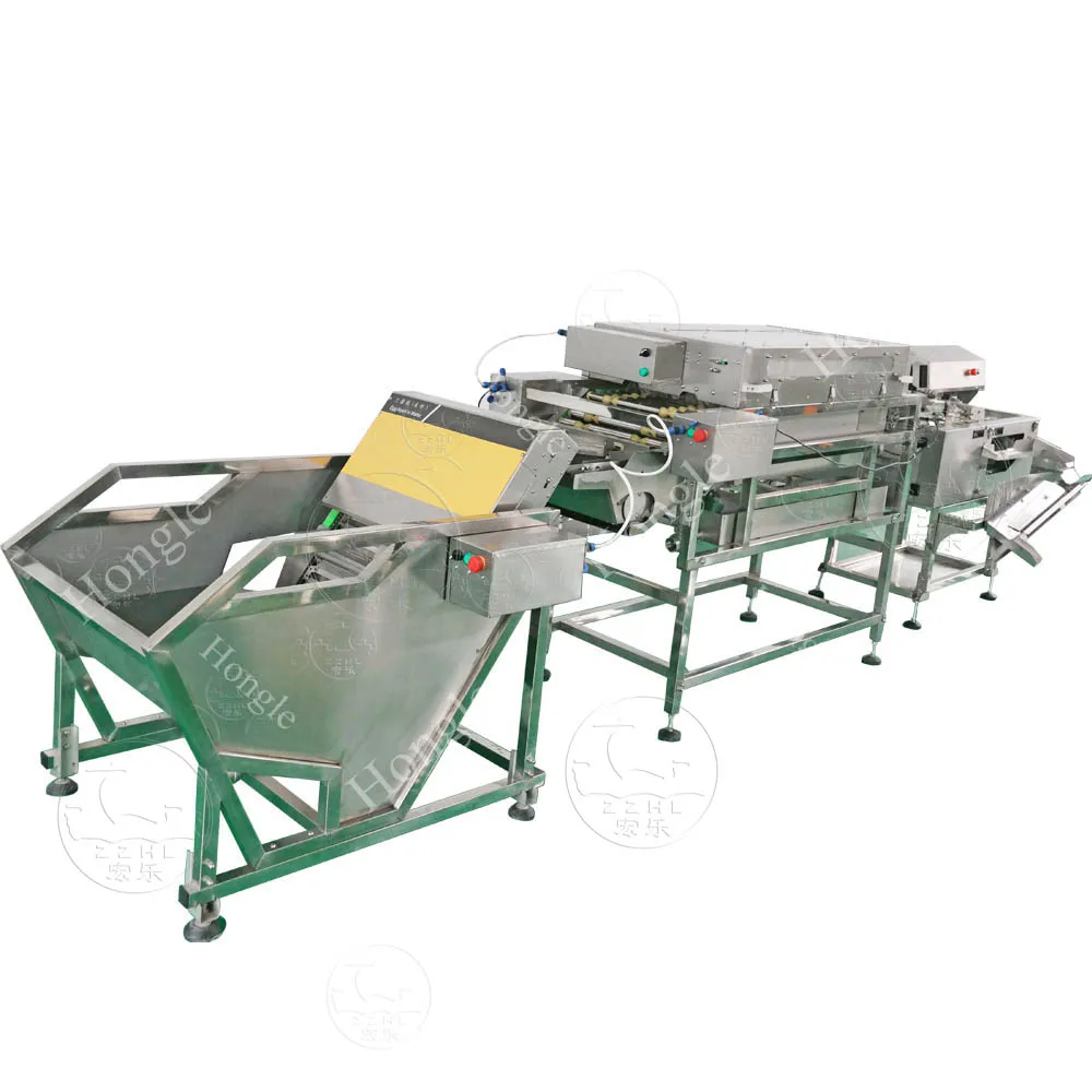 F1 High Quality Egg Washing and Grading Machine Automatic Dirty Chicken Quail Duck Egg Wash Washer details