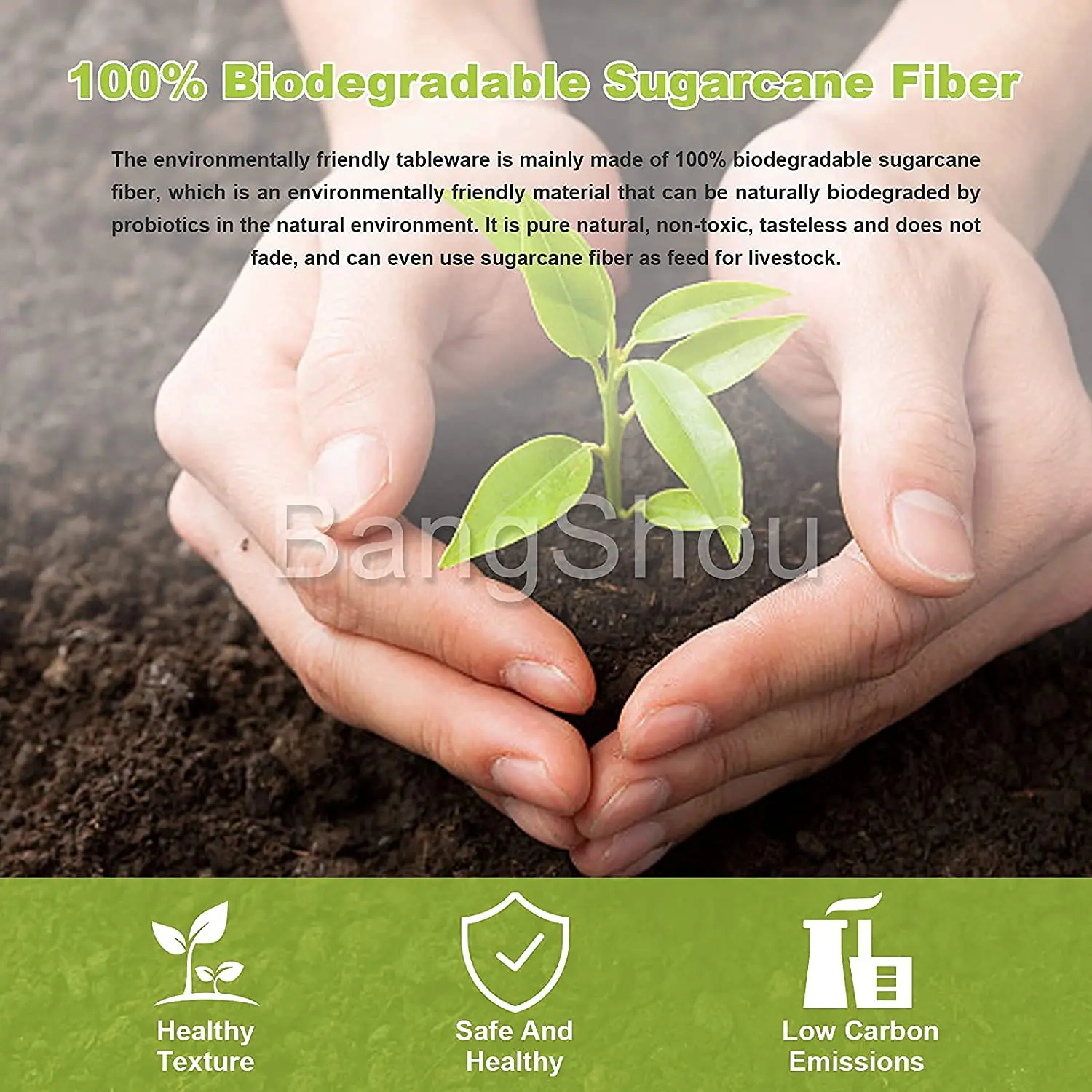Sugarcane Container supplier