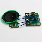 Music Recording Chip Circuits IC For Customized Music Sound Chip Programmable Bulk