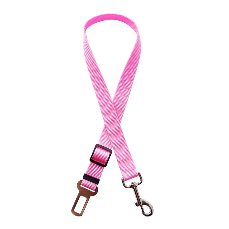 dog leash PCL0226.jpg