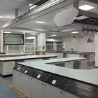Chemical Lab Benchs Laboratory Price Chemical Workstation Bench Chemistry Lab Workbenches Chemistry Lab Bench