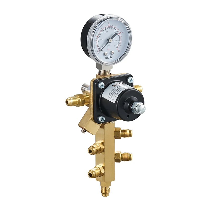 product single gauge gas regulator factory price wholesale co2 pressure regulator for soda cola machine-3