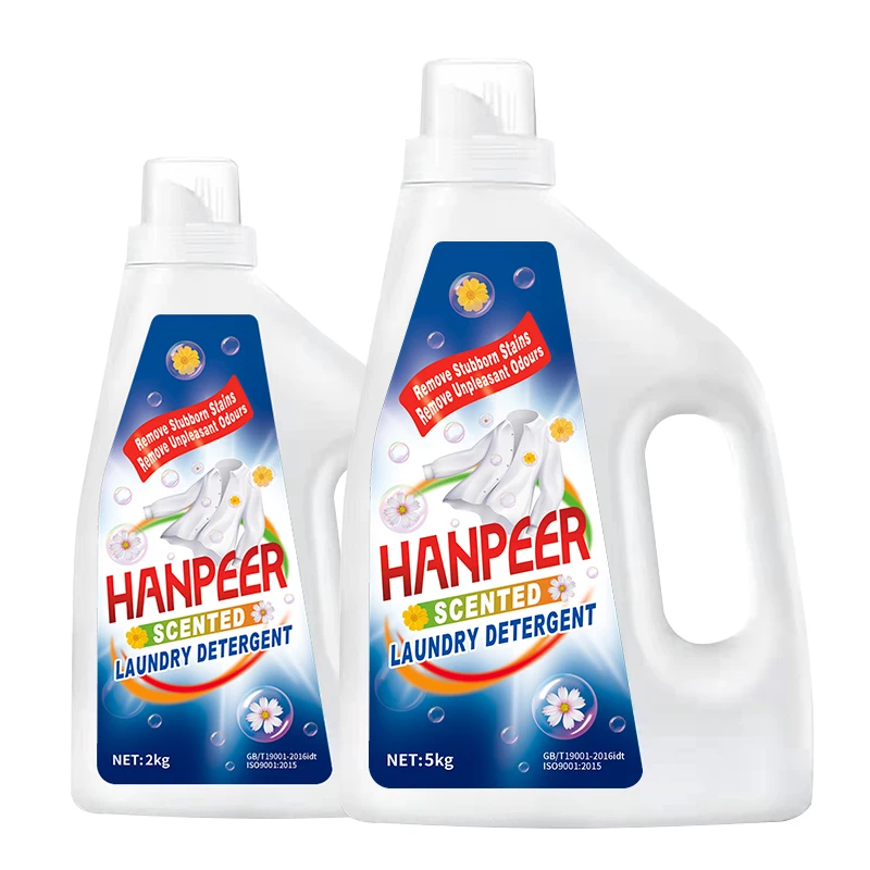 laundry cleaning net